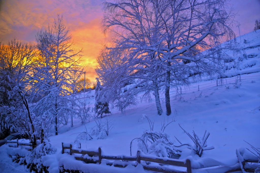 A bright-orange sunset over a snowy, wintry hill