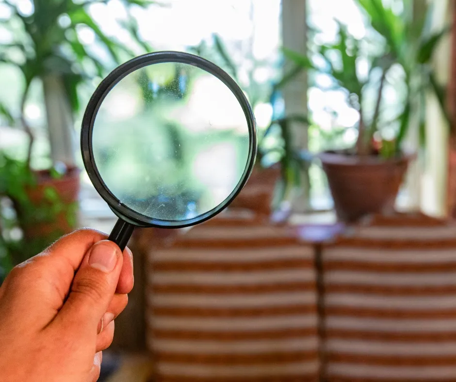 Indoor Air Quality Concerns in Northern Kentucky: Tips for a Healthier Home